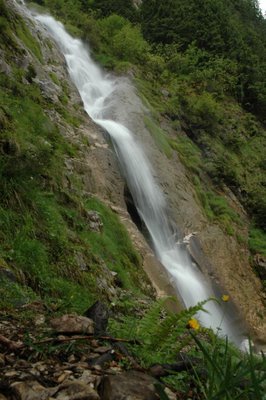 060624 Cascada Cailor - Borsa Maramures 53 - Poze peisaje