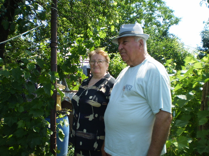 P3190181 - GOSPODARIA LUI MITICA SI BICUTA