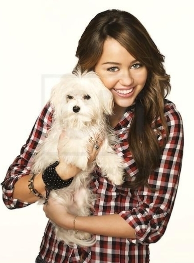 8 - miley cyrus sedinta photo 13 cu catel