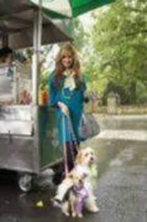 15360092_NZFRAFFCP - poze ashley tisdale