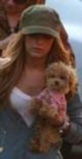 15360337_IDXLHTBIU - poze ashley tisdale