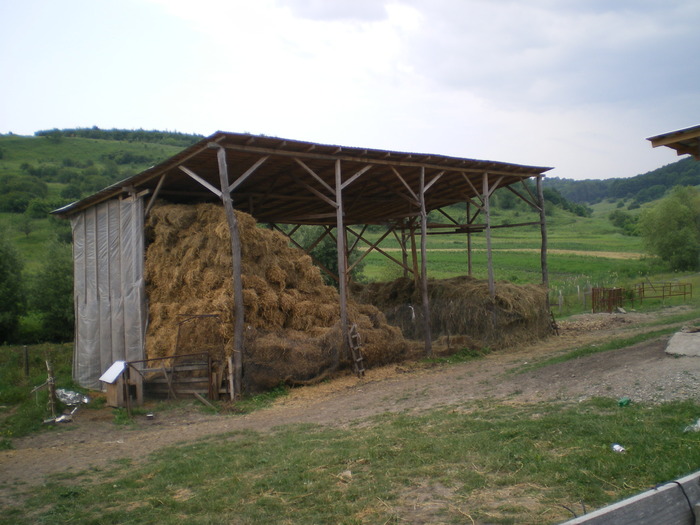 d120610 036 - Ferma