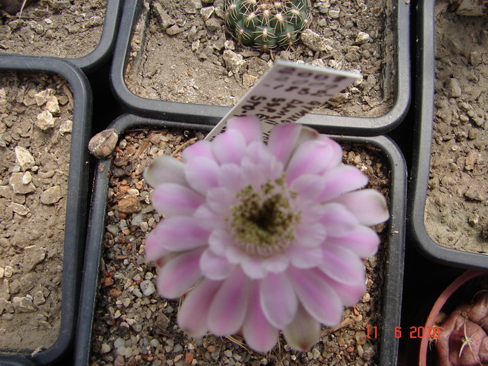 DSC08600