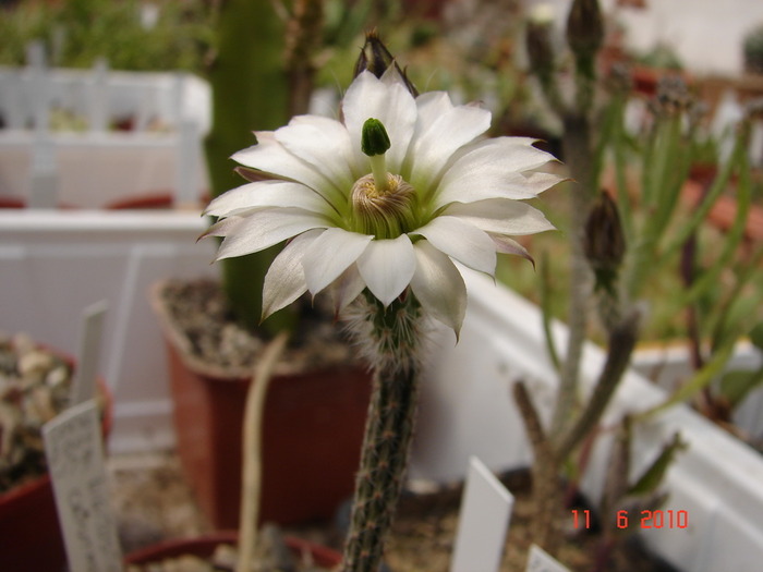 DSC08610