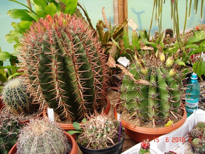 DSC08626