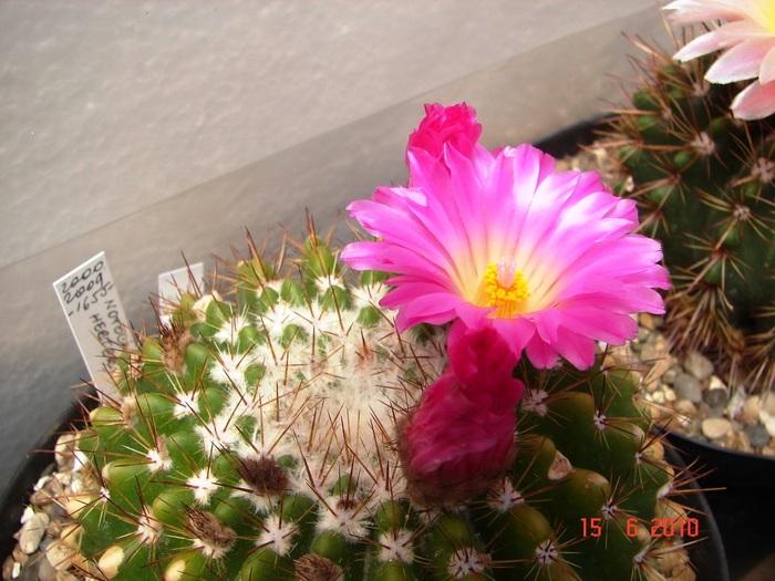 DSC08628