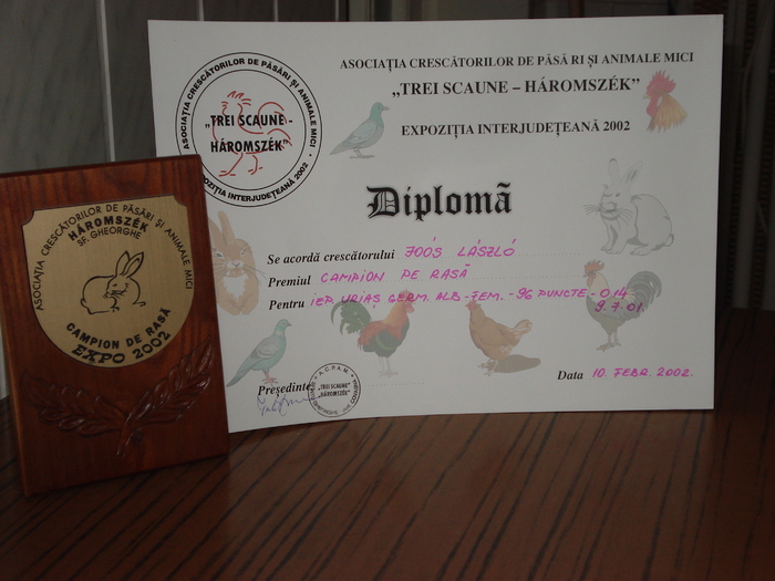 ; diploma si placheta CAMPION 2002
