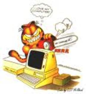 sgre - Garfield