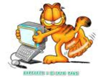 sdfceswe - Garfield