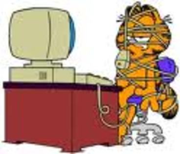 sbdd - Garfield