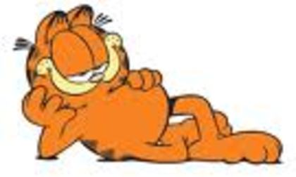 drg - Garfield