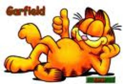 agrsd - Garfield