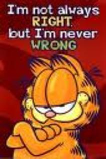 afa - Garfield