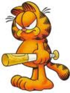 ad - Garfield