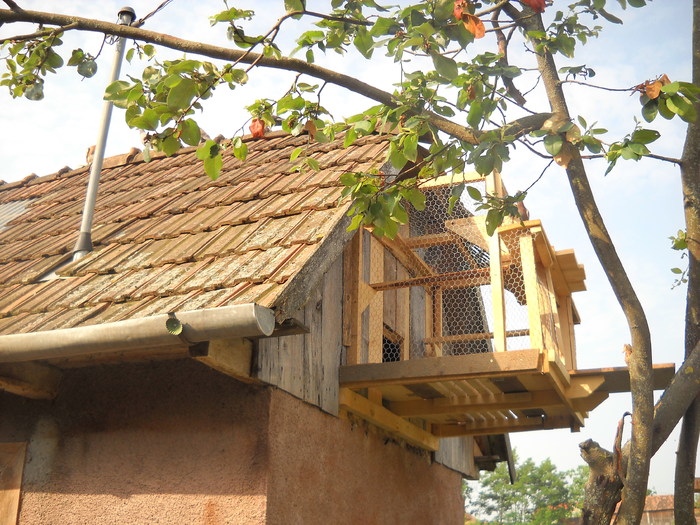 vedere din exterior - clubul bistritean si altele