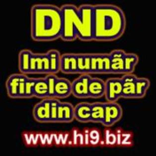 Avatare (107)