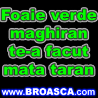 Avatare (166)