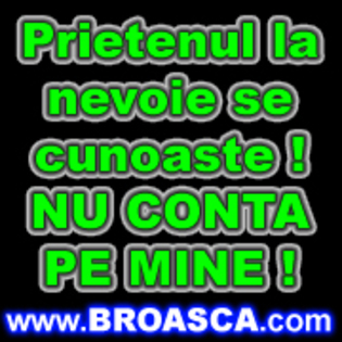 avatare_poze_prietenul_la_nevoie_se_cunoaste_nu_conta_pe_mine[1] - avatare