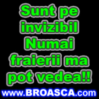 avatare_poze_Sunt_pe_invizibil_numai_fraierii_ma_pot_vedea[1] - avatare