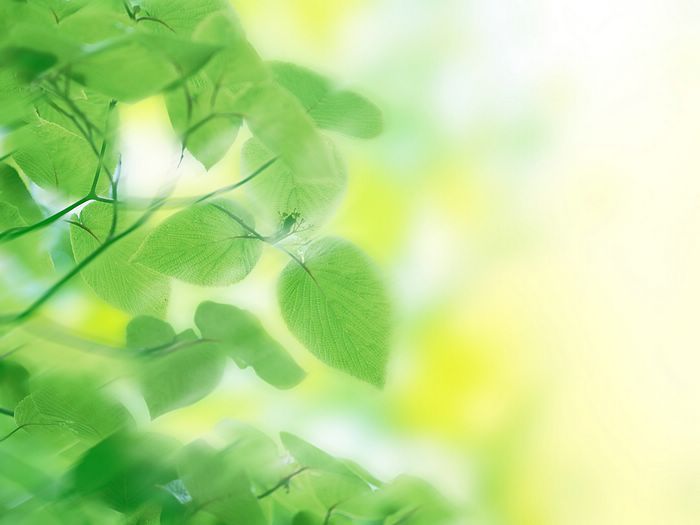 HJ092_350A[1] - anime girls fantasy