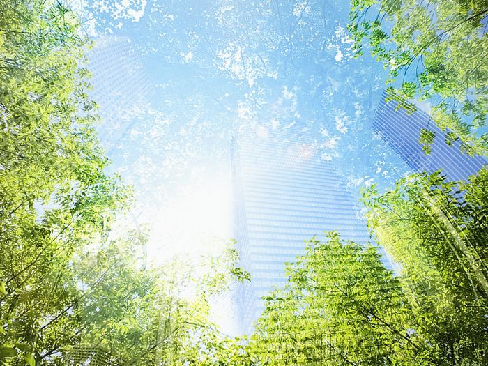 Photo%20manipulation%20of%2003_Green%20City%20033_City_in_Future[1] - anime girls fantasy