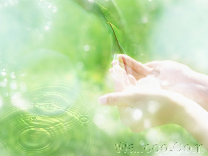 Photo%20manipulation%20of%2003_Human%20and%20Aqua%20183_Greeny_Nature[1] - anime girls fantasy