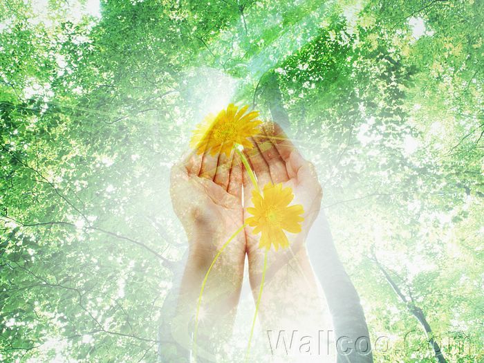 Photo%20manipulation%20of%2003_Human%20and%20Green%20185_Greeny_Nature[1] - anime girls fantasy