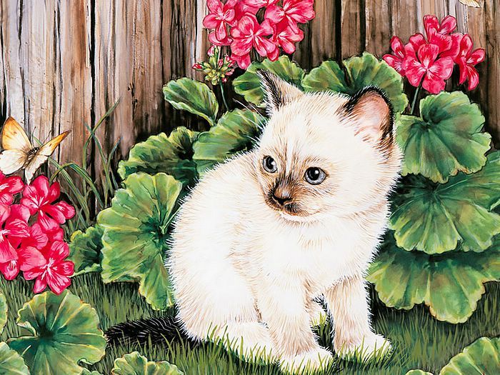 wallcoo.com_Maday_Jane_2007_Kittens_Calender-03[1]