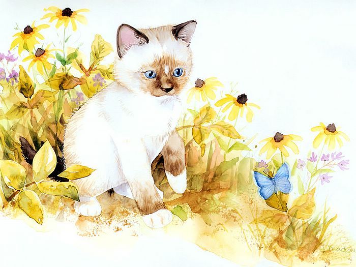 wallcoo.com_Maday_Jane_2007_Kittens_Calender-04[1]