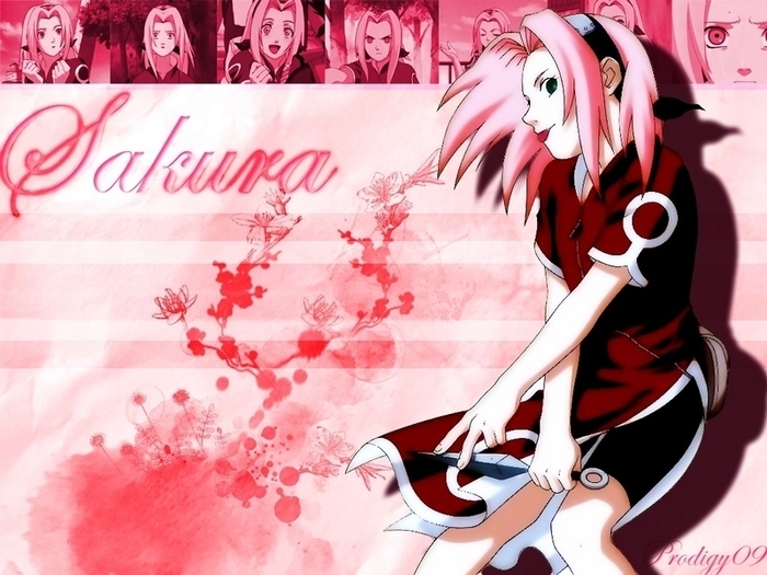 Sakura (5) - sakura