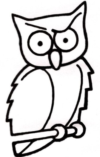 thebotheredowllogosmall[1]