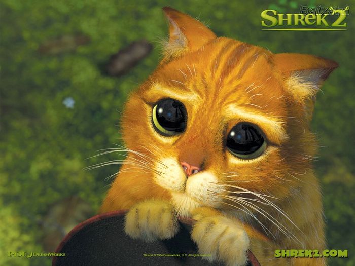 shrek2 - Filmul Shrek  1 2 3 And Wallpaper