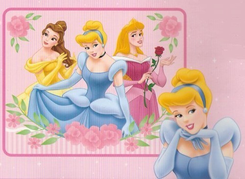 SB78881-DisneyPrincessFleeceBlanket - Princess Disney