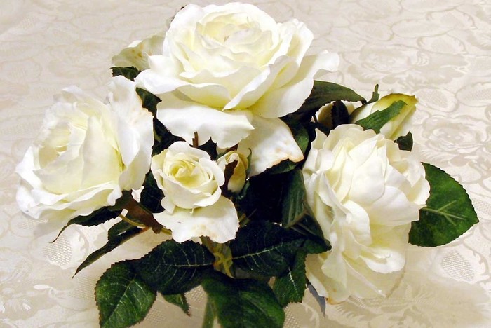 white_rose