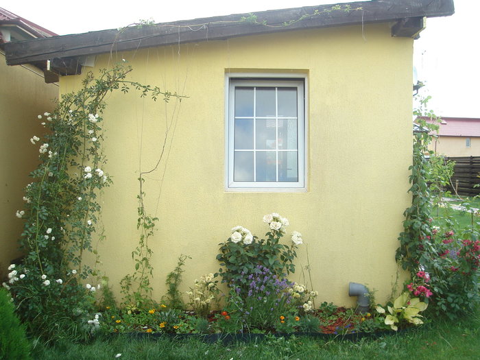 DSC08171 - Vara 2010