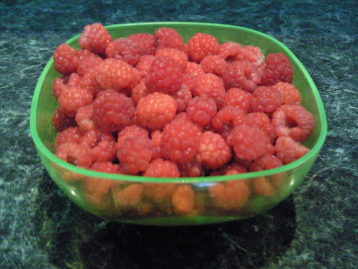 zmeura , recolta 2010 - Pomi fructiferi fructe si arbusti