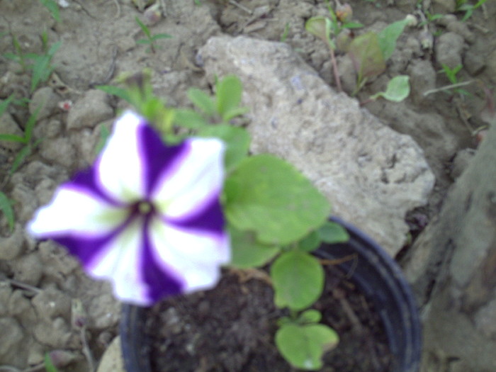 PICT0001