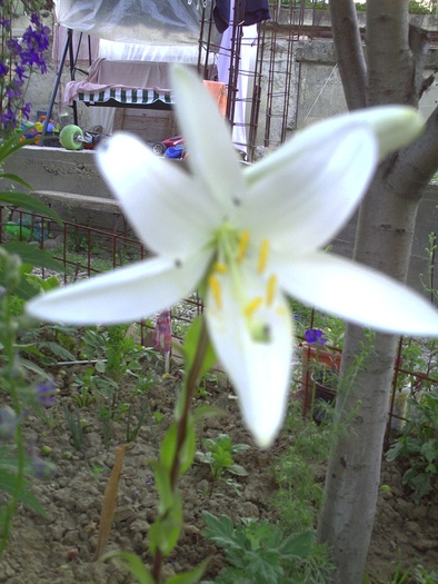 PICT0003