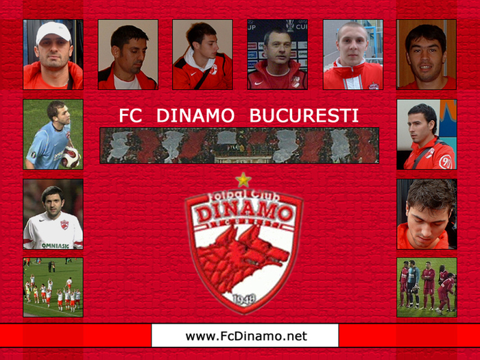 wallpapers_Dinamo_1024 - FC DINAMO BUCURESTI