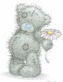 erhwh - Tatty Teddy