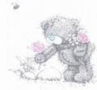 etwg - Tatty Teddy