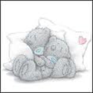 fr4t - Tatty Teddy