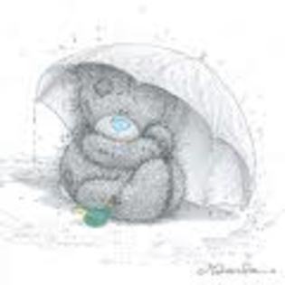 gdagafv - Tatty Teddy