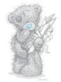 t - Tatty Teddy