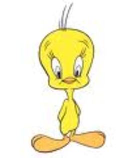 ebqr - Tweety