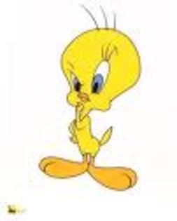 qegrqerg - Tweety