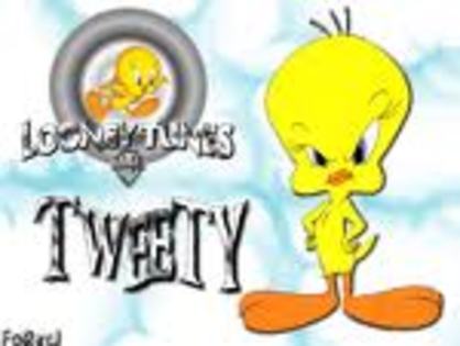 qegrqr - Tweety