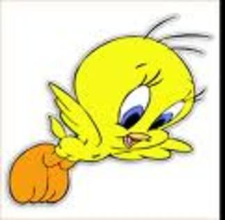 qergqe - Tweety