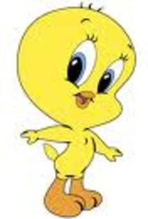 wqegrq - Tweety