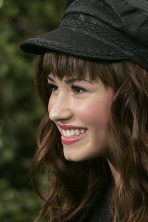 Demi Lovato - Teen is Disney - album pentru bobolina